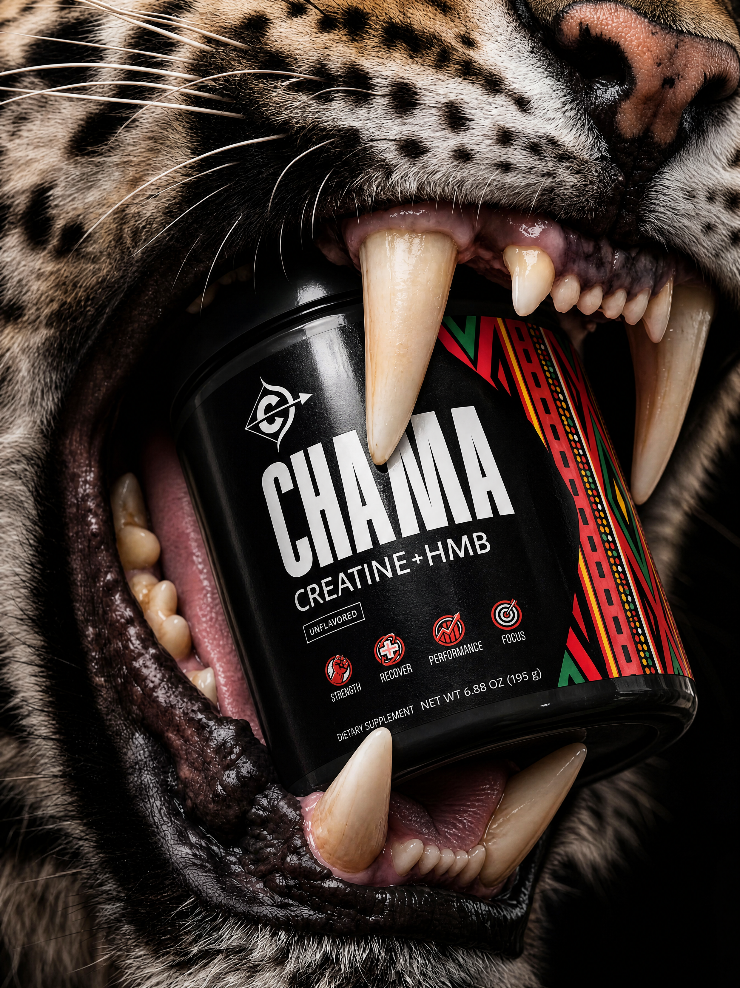 Leopard with a supplement bottle labeled 'Chama' in its mouth